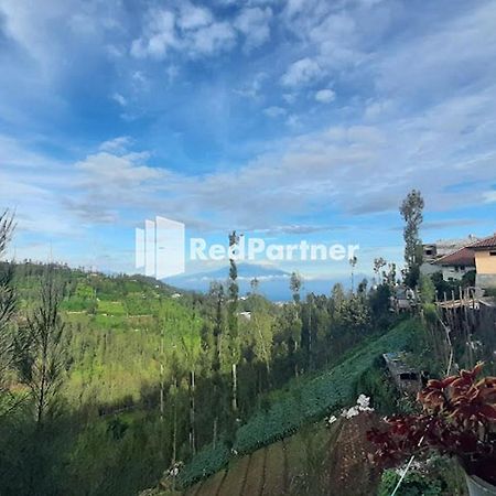 Bromo Indah Lestari Homestay Mitra Reddoorz Pasuruan Eksteriør bilde